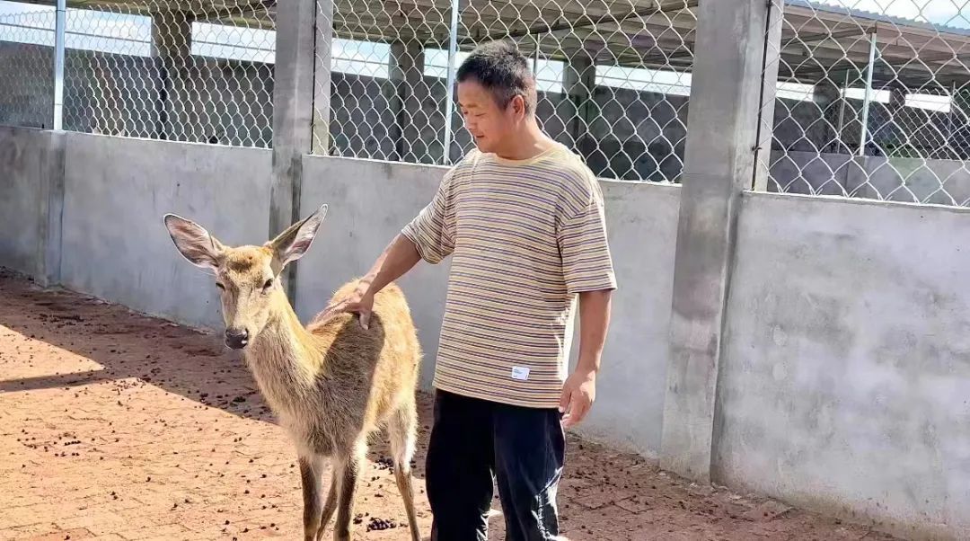 注册送6元救济金捕鱼